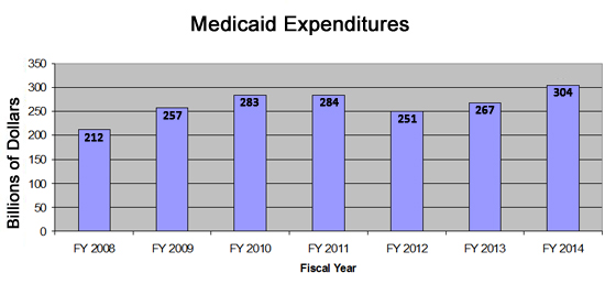 Summary of Medicaid Expenditures